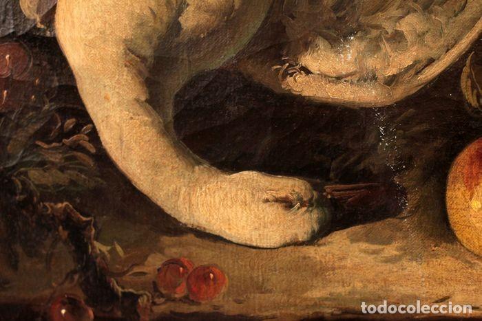 Arte: ESCUELA FLAMENCA DEL S.XVIII - Bodeg&oacute;n - Foto 12