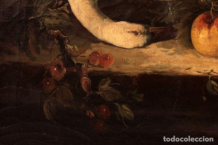 Arte: ESCUELA FLAMENCA DEL S.XVIII - Bodeg&oacute;n - Foto 11
