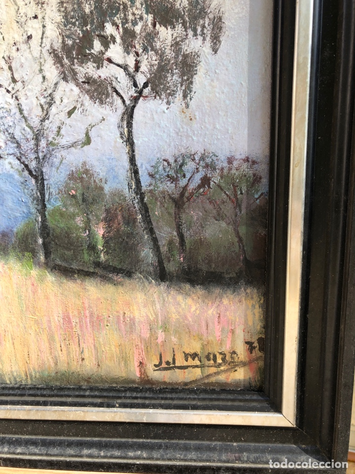 Arte: &Oacute;LEO SOBRE LIENZO 70x50cm - Foto 2