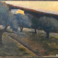 Arte: MÄRTHA TYNELL , SWEDISH PAINTER , 1865 - 1930 , OLEO LIENZO , OIL PAINTING. Lote 227953995