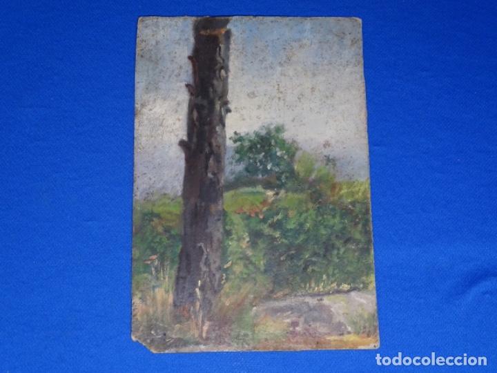 Arte: ANTIGUO &Oacute;LEO SOBRE CART&Oacute;N AN&Oacute;NIMO. - Foto 1