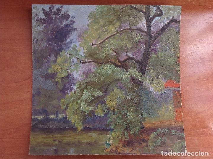 Arte: An&oacute;nimo. &Aacute;rbol y bosque. - Foto 1