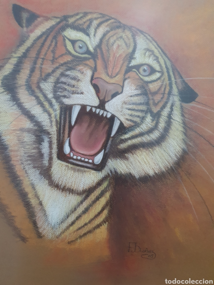 Arte: Cuadro al pastel tigre - Foto 3