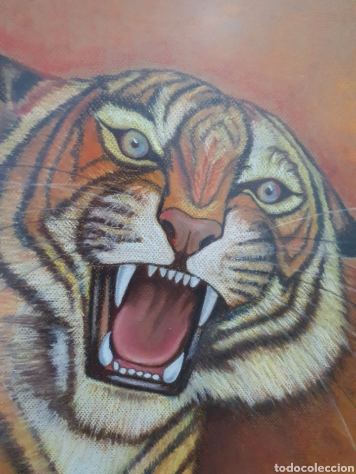Arte: Cuadro al pastel tigre - Foto 4
