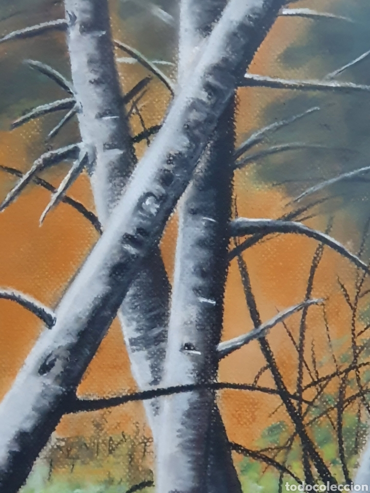 Arte: Cuadro al pastel atardecer - Foto 5