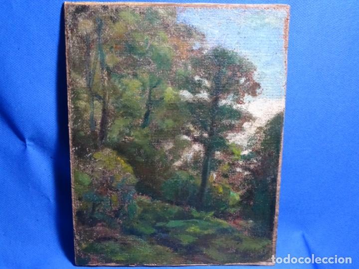 Arte: &Oacute;LEO ANONIMO SOBRE TELA PEGADO A TABLA CIRCULO FRANCISCO GIMENO.