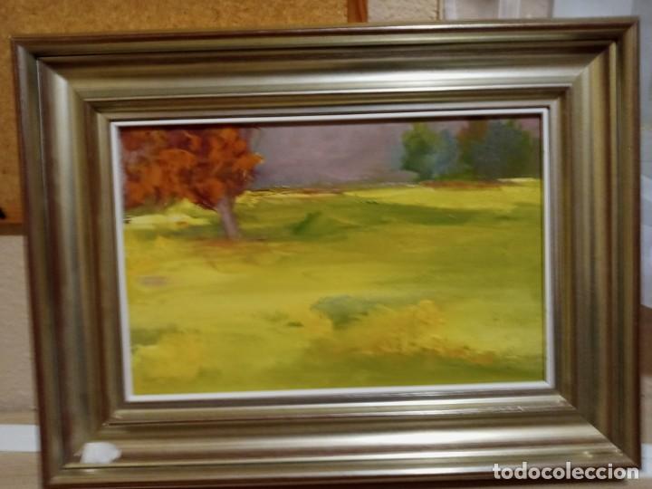 Arte: OFERTA DEL MES PAISAJE - Foto 7