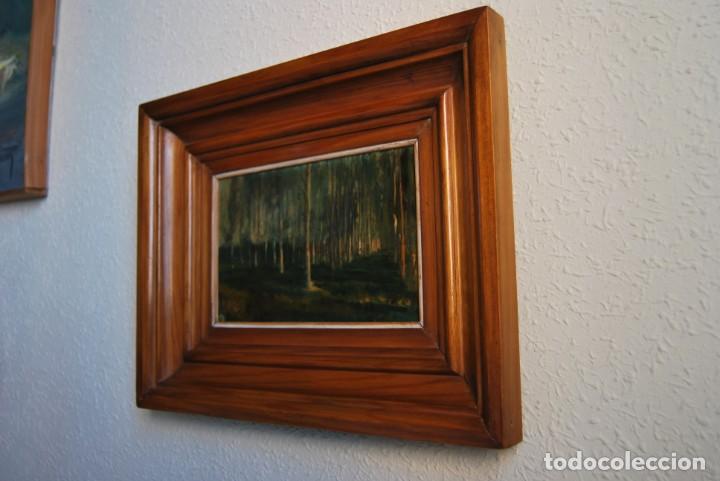 Arte: &Oacute;LEO SOBRE TABLA - BOSQUE - PAISAJE - Foto 1