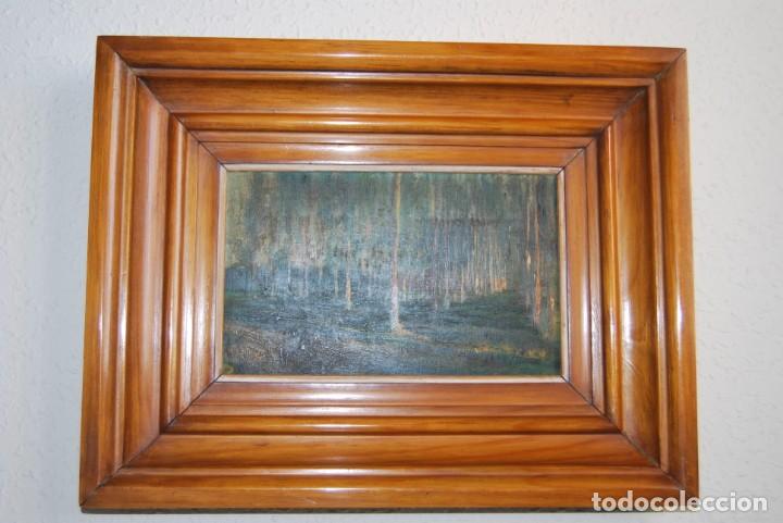 Arte: &Oacute;LEO SOBRE TABLA - BOSQUE - PAISAJE - Foto 2