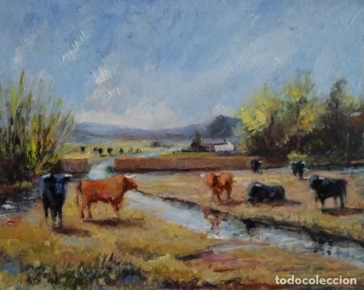 Arte: TOROS EN LA DEHESA.OBRA ORIGINAL DE AUTOR - Foto 1