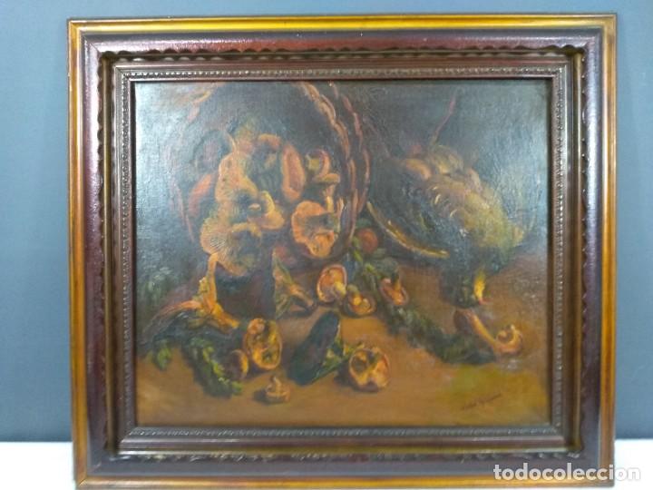 Arte: &Oacute;leo Vidal Rolland - Foto 2