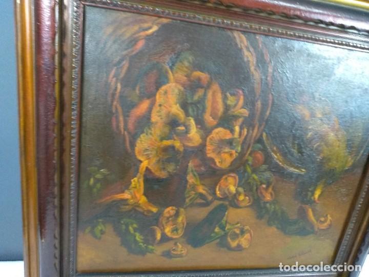 Arte: &Oacute;leo Vidal Rolland - Foto 6