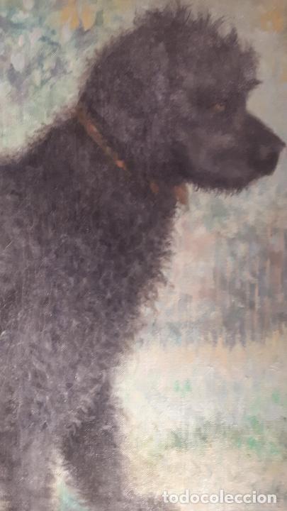 Arte: &Oacute;leo de perro. Michel Lemallo. - Foto 3