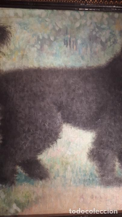 Arte: &Oacute;leo de perro. Michel Lemallo. - Foto 8