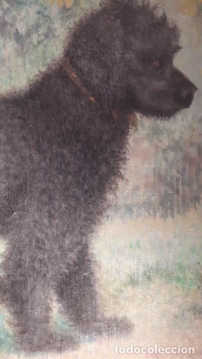 Arte: &Oacute;leo de perro. Michel Lemallo. - Foto 9