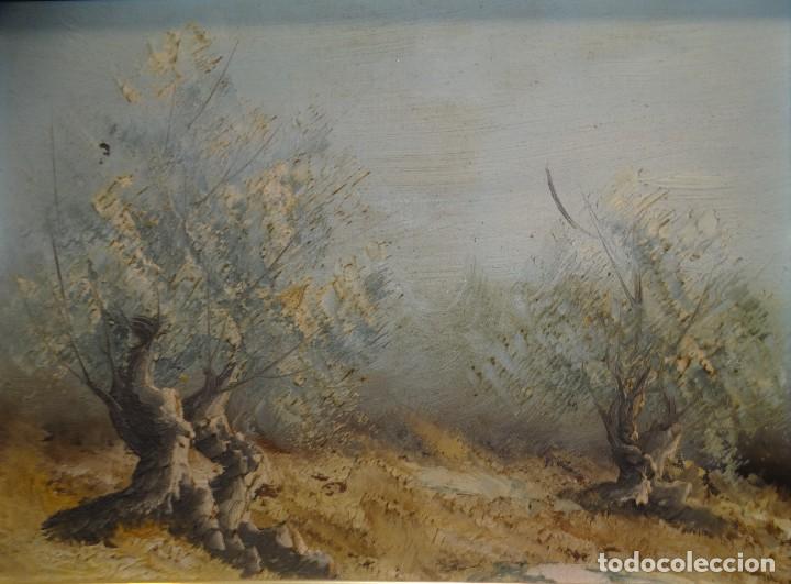 Arte: OLEO EL OLIVERA MARCO MADERA - Foto 1