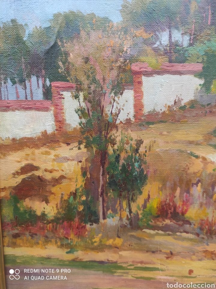 Arte: Francisco Ruiz Morales (Granada) - Foto 4