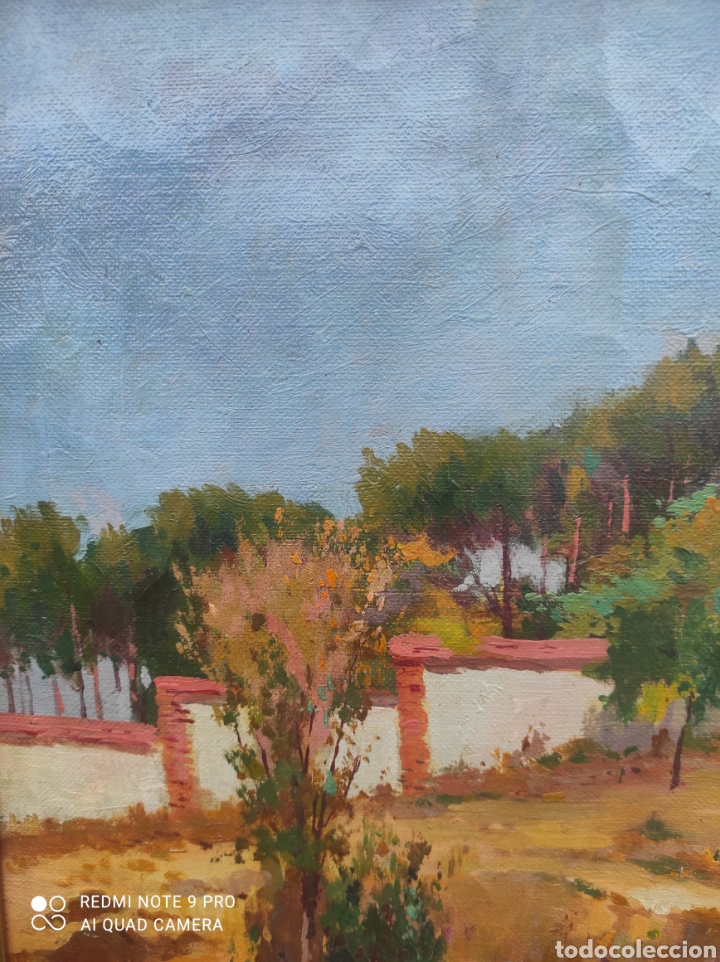 Arte: Francisco Ruiz Morales (Granada) - Foto 6