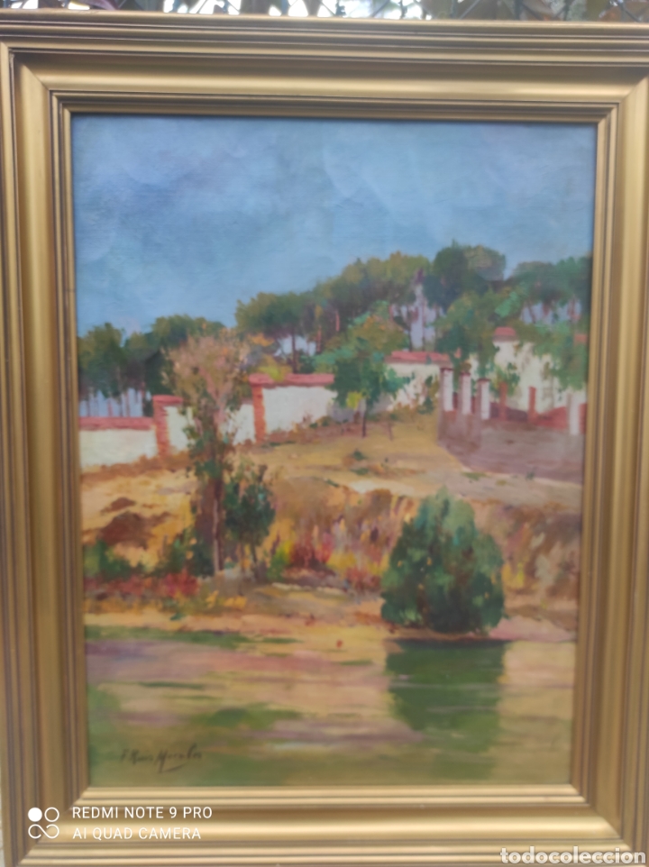 Arte: Francisco Ruiz Morales (Granada) - Foto 7