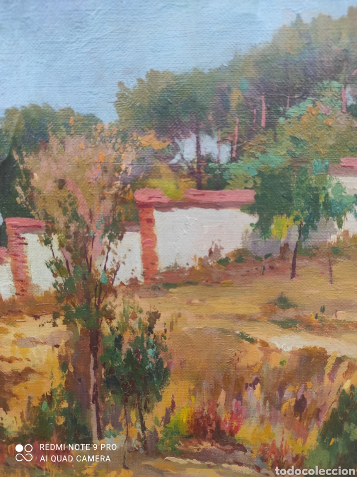Arte: Francisco Ruiz Morales (Granada) - Foto 8