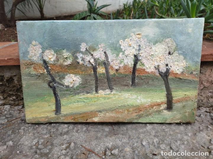 Arte: Cuadro ol&eacute;o almendros - Foto 2