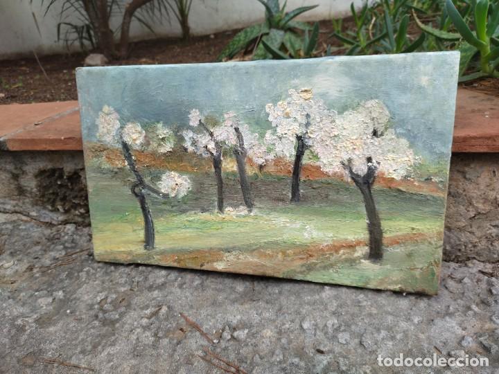 Arte: Cuadro ol&eacute;o almendros - Foto 1