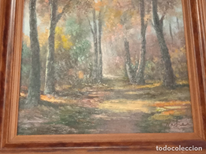 Arte: Amanecer en el bosque - Foto 4