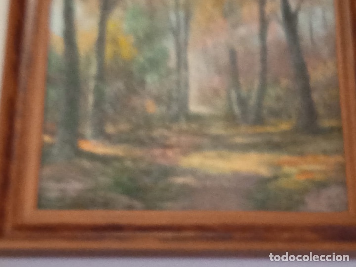 Arte: Amanecer en el bosque - Foto 6