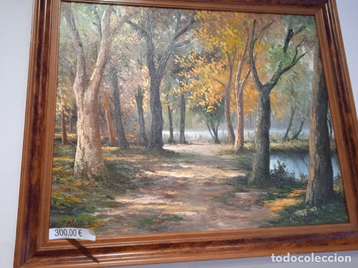Arte: Amanecer en el bosque - Foto 1