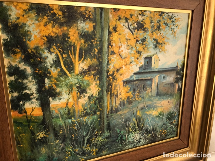 Arte: &Oacute;leo firmado - Foto 4