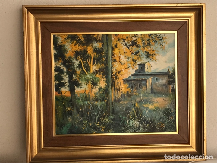 Arte: &Oacute;leo firmado - Foto 5