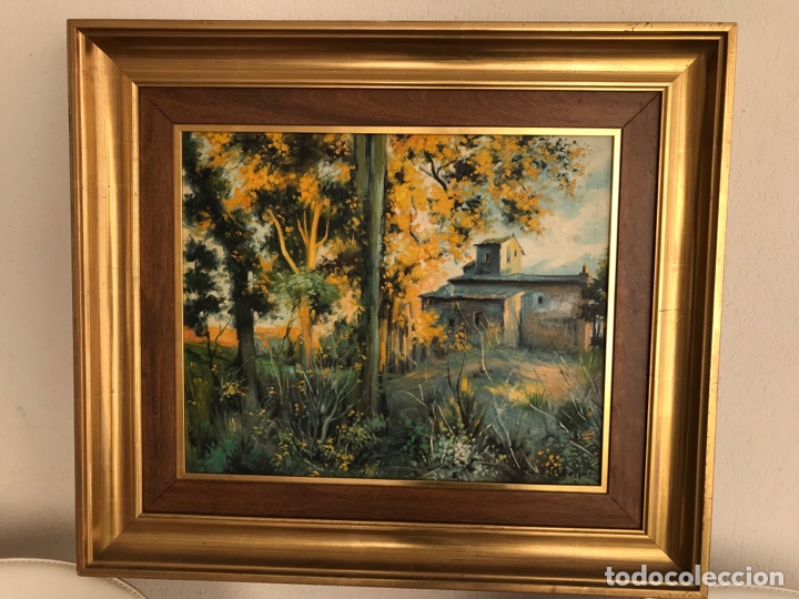 Arte: &Oacute;leo firmado - Foto 1