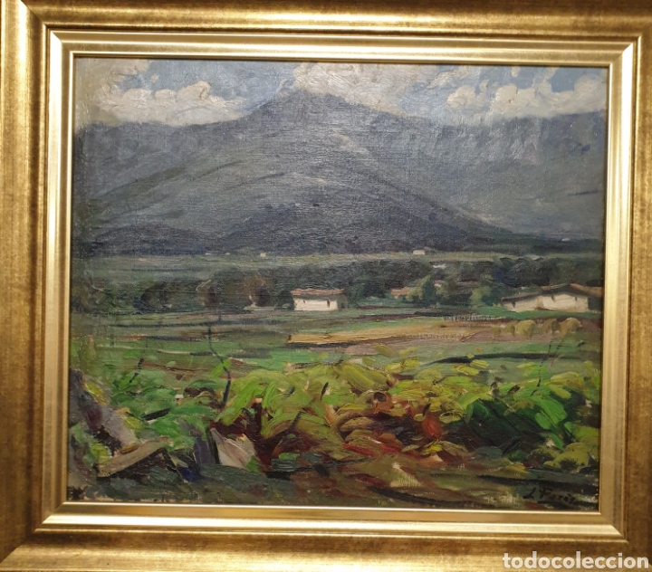 Arte: &Oacute;leo sobre lienzo . Joan Pares - Foto 1