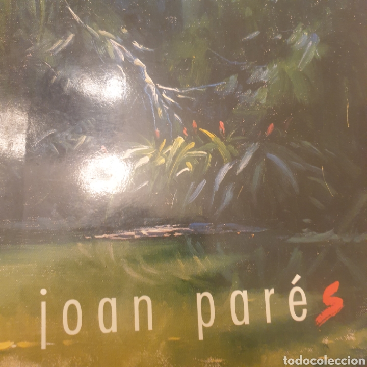 Arte: &Oacute;leo sobre lienzo . Joan Pares - Foto 2