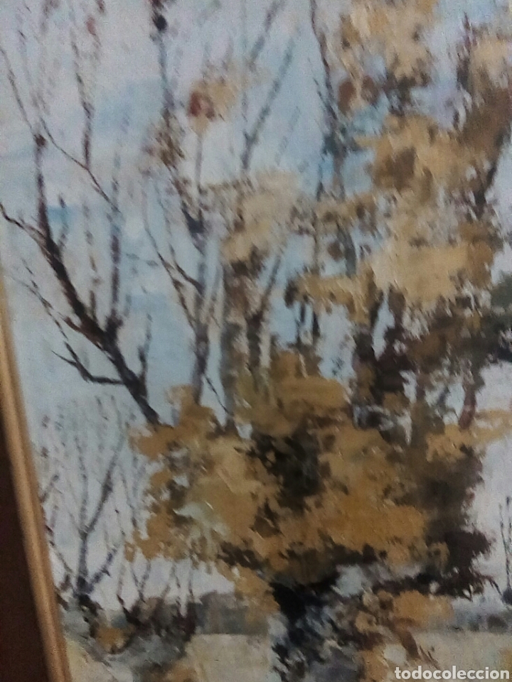 Arte: Cuadro de pintura al oleo - Foto 10