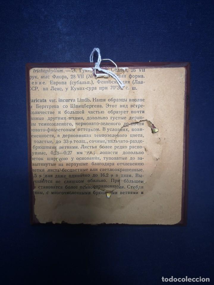 Arte: MINIATURA EUROPEA SOBRE PLACA - Foto 5