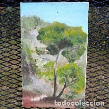 Arte: cuadro oleo naturaleza - Foto 1
