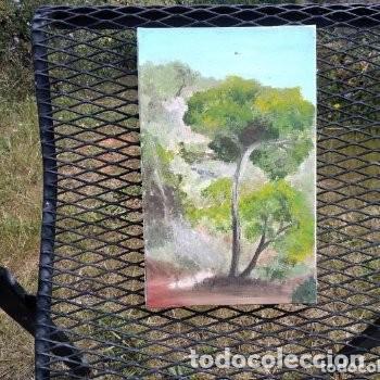 Arte: cuadro oleo naturaleza - Foto 2