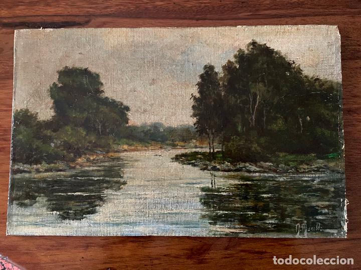 Arte: &Oacute;LEO SOBRE LIENZO ANTONIO MUNILLA - Foto 1