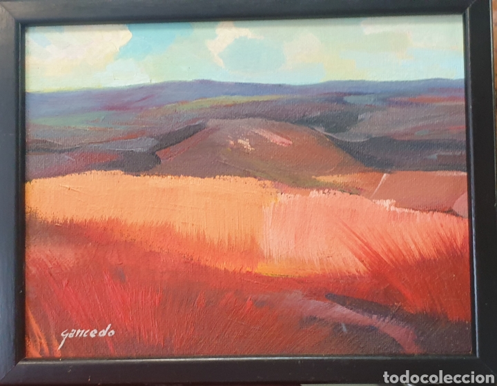 Arte: Gancedo &oacute;leo sobre tabla 34x27 - Foto 1