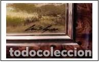 Arte: &Oacute;leo sobre t&aacute;blex enmarcado - Foto 2