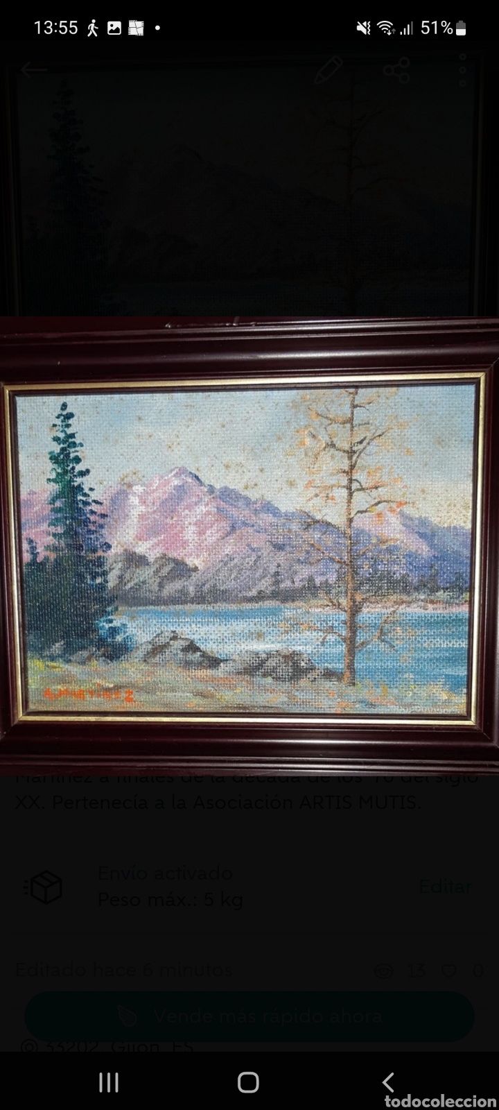Arte: Cuadro &rdquo;ATARDECER EN LA MONTA&Ntilde;A &rdquo; - Foto 1