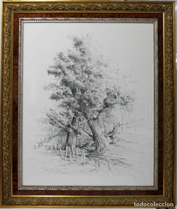 Arte: &Aacute;rbol - Jos&eacute; Mar&iacute;a Menacho - Foto 1