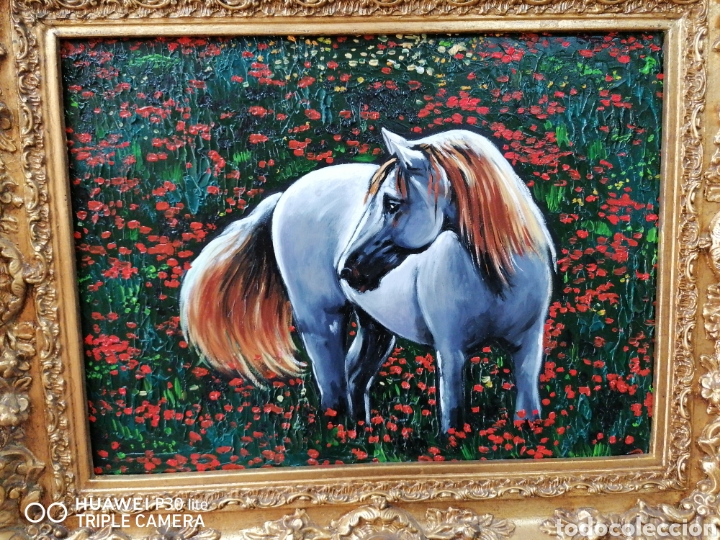 Arte: &Oacute;leo enmarcado caballo blanco - Foto 2
