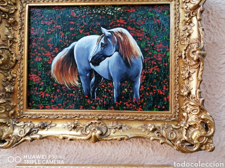 Arte: &Oacute;leo enmarcado caballo blanco - Foto 3