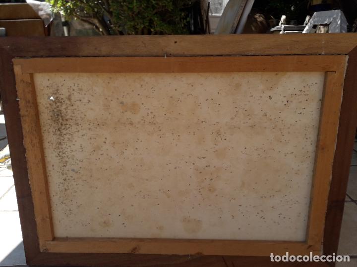 Arte: GRAN &Oacute;LEO F. VERDU? - Foto 9