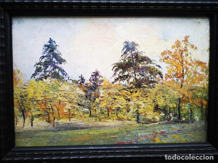 Arte: Cuadro oleo de un bosque en oto&ntilde;o - Foto 2