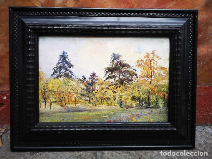 Arte: Cuadro oleo de un bosque en oto&ntilde;o - Foto 1