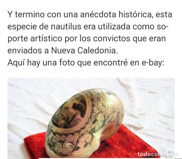 Arte: Concha de nacar - Foto 23