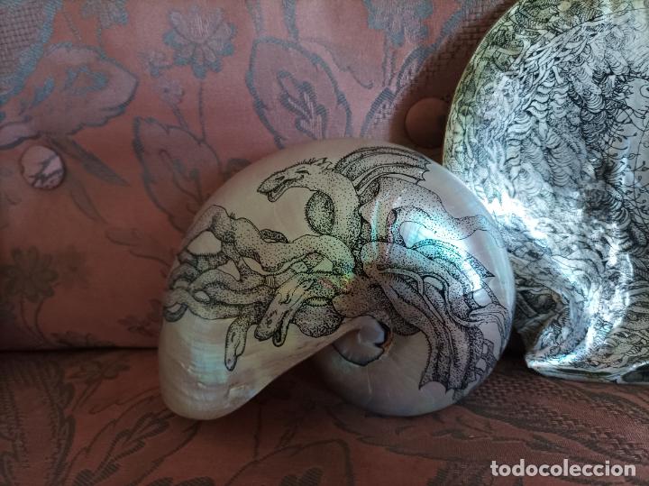 Arte: Concha de nacar. - Foto 14